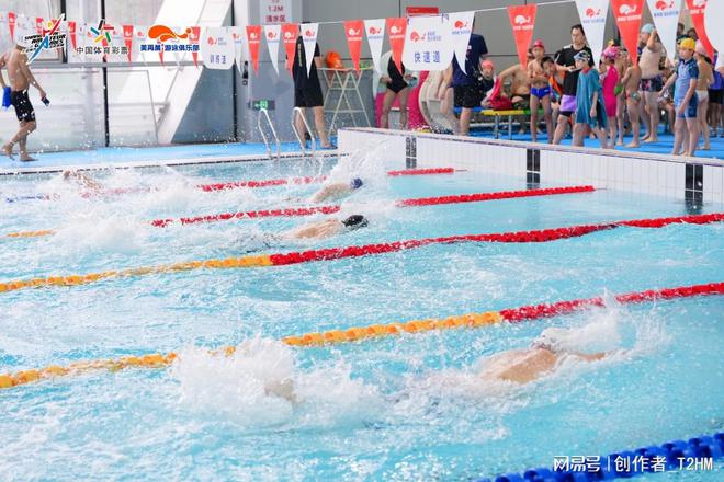 游泳比赛全民期待，各队备战的简单介绍