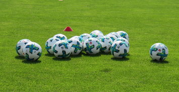 开云平台-西悉尼流浪者主场迎战恩菲尔德，锋线火力引爆看点