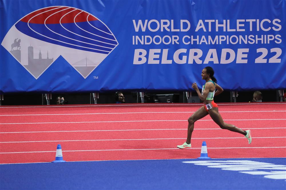 开云下载-包含南美冲击金牌，挑战传统强队的词条