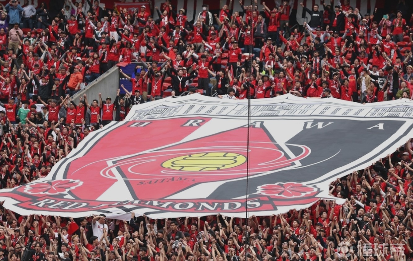 球迷热情支持国际足球盛事