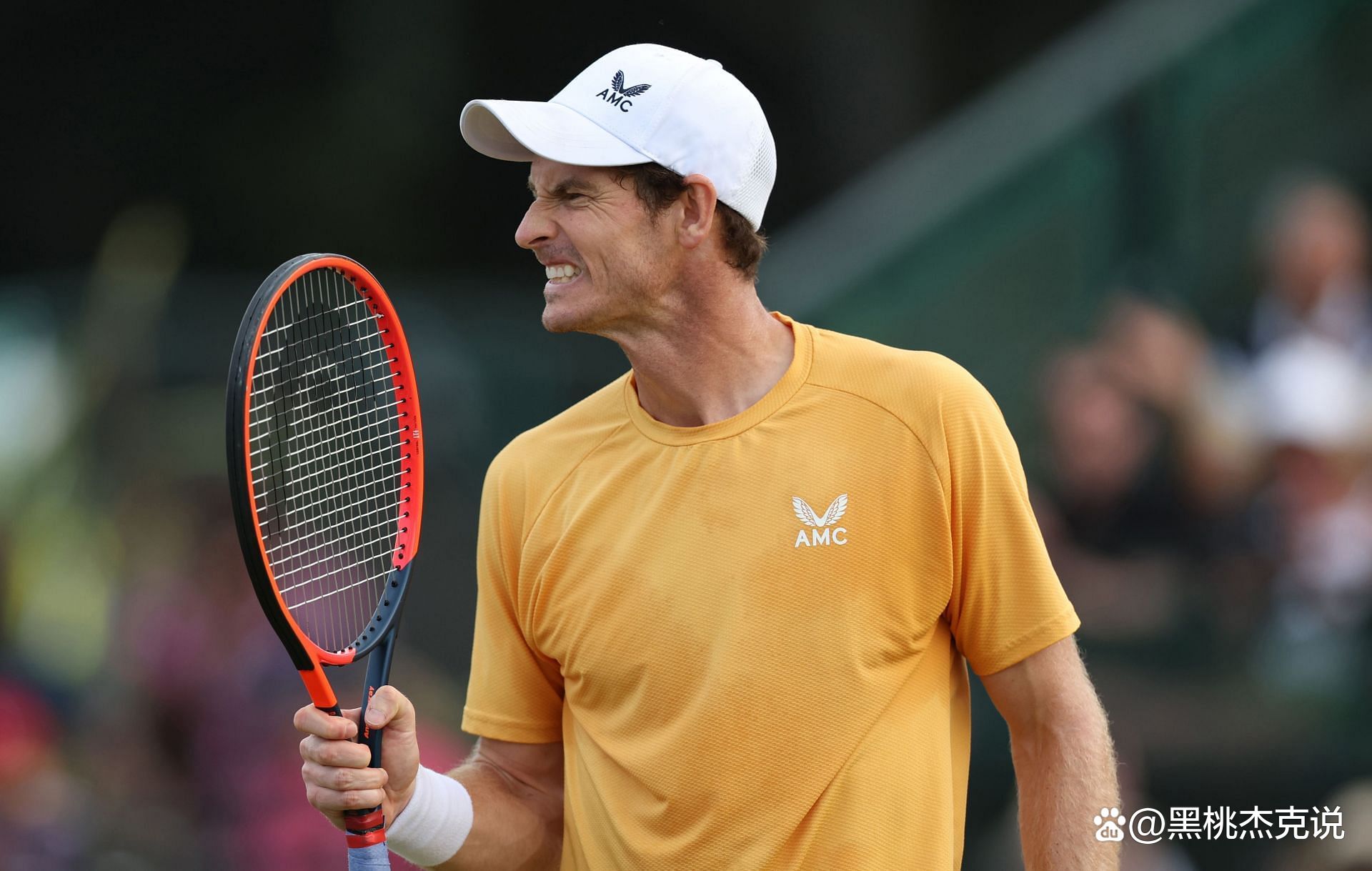 温网绝杀ATP总决赛，穆雷刷新纪录